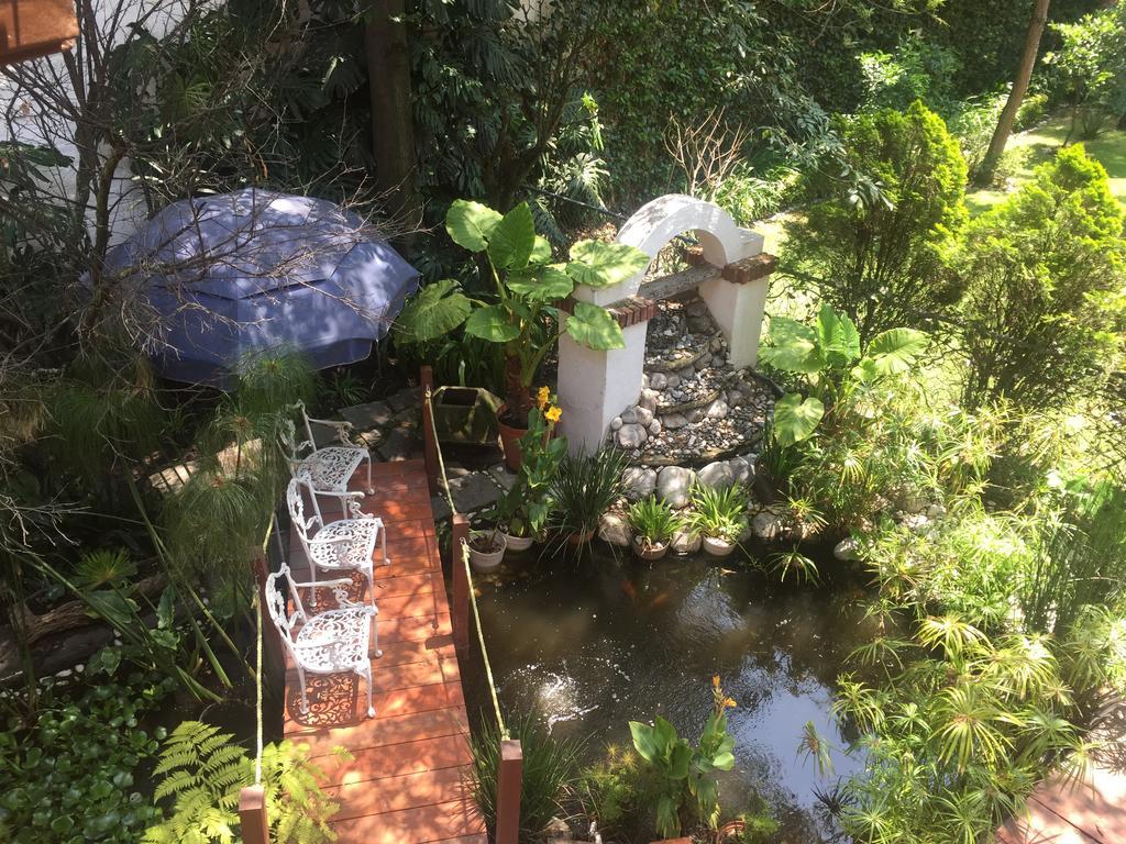 Villas Sol Y Luna Coyoacan Мехико Экстерьер фото